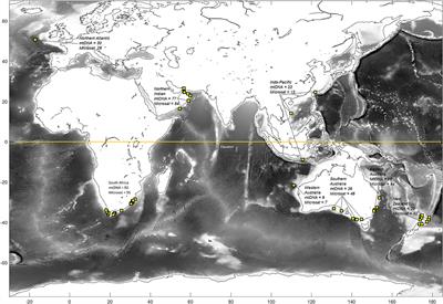 Frontiers | Population Connectivity Of The Highly Migratory Shortfin ...